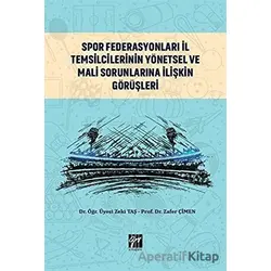 Spor Federasyonları İl Temsilcilerinin Yönetsel ve Mali Sorunlarına İlişkin Görüşleri