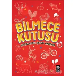 Bilmece Kutusu - Şenay Akdemir - Bilgi Yayınevi