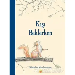Kışı Beklerken - Sebastian Meschenmoser - Kuraldışı Yayınevi