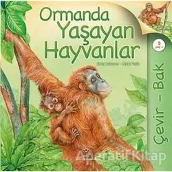 Çevir Bak - Ormanda Yaşayan Hayvanlar - Nicki Palin - TÜBİTAK Yayınları