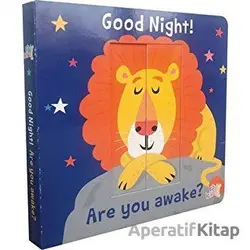Good Night! Are You Awake? - Kolektif - Mikado Yayınları