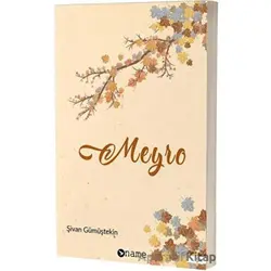 Meyro - Şivan Gümüştekin - Name Yayınları