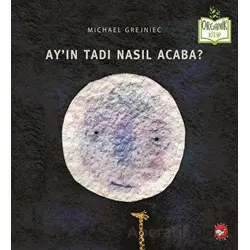 Ayın Tadı Nasıl Acaba? - Michael Grejniec - Beyaz Balina Yayınları