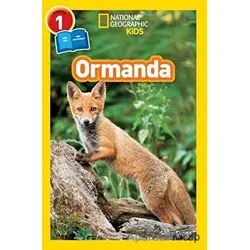 Ormanda - Seviye 1 - Shira Evans - Beta Kids