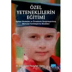 Özel Yeteneklilerin Eğitimi - Feyzullah Şahin - Nobel Akademik Yayıncılık