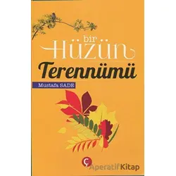Bir Hüzün Terennümü - Mustafa Sade - Çeri Yayınları