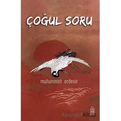 Çoğul Soru - Muhammet Erdevir - Mavi Gök Yayınları