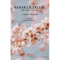 Bahar Çiçekleri - Andelîb Faik Esad - Kırmızı Çatı Yayınları