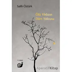 Ölü Yıldızın Dört Yolcusu - Salih Öztürk - Sakin Kitap