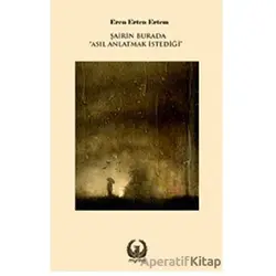 Şairin Burada Asıl Anlatmak İstediği - Eren Erten Ertem - Myrina Yayınları