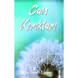 Can Kırıkları - İsmail Güçtaş - Ayyıldız Kitap