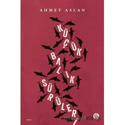 Küçük Balık Sürüleri - Ahmet Aslan - Sahi Kitap