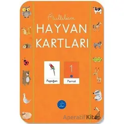 Hayvan Kartları - Kolektif - Multibem Yayınları