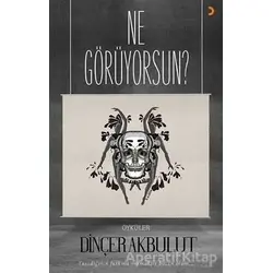 Ne Görüyorsun? - Dinçer Akbulut - Cinius Yayınları