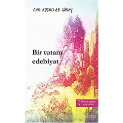 Bir Tutam Edebiyat - Can Abdullah Günay - İkinci Adam Yayınları