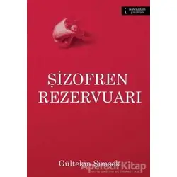 Şizofren Rezervuarı - Gültekin Şimşek - İkinci Adam Yayınları