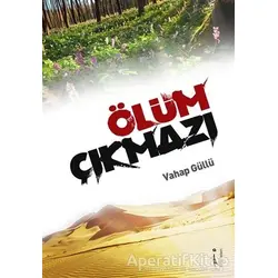 Ölüm Çıkmazı - Vahap Güllü - İkinci Adam Yayınları