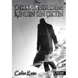 Dilimi Isırdım İçinden Sen Çıktın - Cafer Kete - İkinci Adam Yayınları