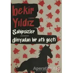 Sahipsizler - Dünyadan Bir Atlı Geçti - Bekir Yıldız - Everest Yayınları