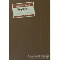 Neylersin - Ahmet Telli - Everest Yayınları