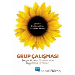 Grup Çalışması - Ahmet Ege - Nobel Akademik Yayıncılık