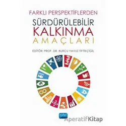 Farklı Perspektiflerden Sürdürülebilir Kalkınma Amaçları - Begüm Erçevik - Nobel Akademik Yayıncılık