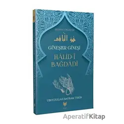 Güneşler Güneşi Halid-i Bağdadi - Ubeydullah Bayram Tekin - Rabbani Yayınevi