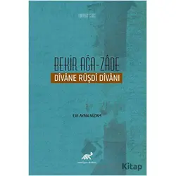 Bekir Ağa-Zade - Elif Ayan Nizam - Paradigma Akademi Yayınları