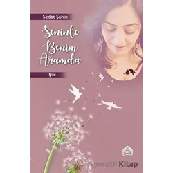 Seninle Benim Aramda - Sedat Şahin - Kekeme Yayınları