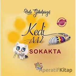 Kedi Mi Sokakta - Hale Gökalpsezer - Parmak Çocuk Yayınları