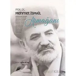 Prof. Dr. Mehmet İsmail Armağanı - Kolektif - Paradigma Akademi Yayınları