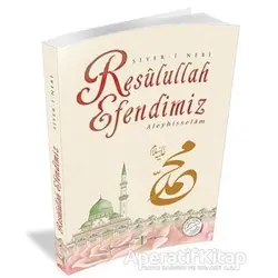 Resulullah Efendimiz Aleyhisselam - Şerif Benekçi - Damla Yayınevi