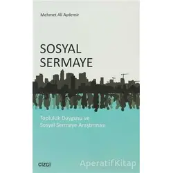 Sosyal Sermaye - Mehmet Ali Aydemir - Çizgi Kitabevi Yayınları