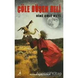 Çöle Düşen Deli - Dine Çole Keti - Mehmet Salih Özalp - Alter Yayıncılık