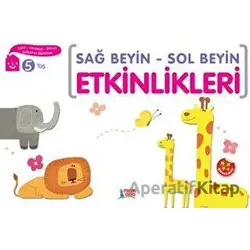 Sağ Beyin - Sol Beyin Etkinlikleri (5 Yaş) - Elif Konar - Minik Ada