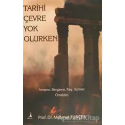 Tarihi Çevre Yok Olurken - Mehmet Tunçer - Alter Yayıncılık