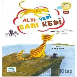 Altı Yedi Sarı Kedi - Salih Zengin - Turkuvaz Çocuk
