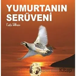 Yumurtanın Serüveni - Esila Tekkeşin - Kitap72 Yayınları