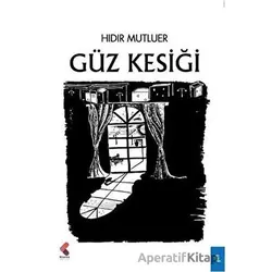 Güz Kesiği - Hıdır Mutluer - Klaros Yayınları