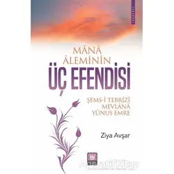 Mana Aleminin Üç Efendisi - Ziya Avşar - Tedev Yayınları
