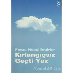 Kırlangıçsız Geçti Yaz - Feyza Hepçilingirler - Everest Yayınları