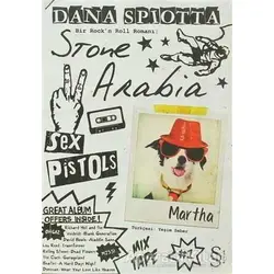 Stone Arabia - Dana Spiotta - Everest Yayınları