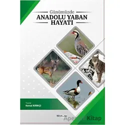 Günümüzde Anadolu Yaban Hayatı - Kemal Kırıkçı - Atlas Akademi