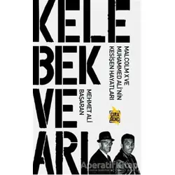 Kelebek ve Arı - Mehmet Ali Başaran - Çıra Yayınları