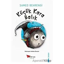 Küçük Kara Balık - Samed Behrengi - Kağıt Uçak Yayınları