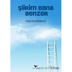 Şiirim Bana Benzer - Coşkun Karabulut - Günce Yayınları
