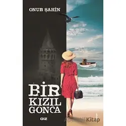 Bir Kızıl Gonca - Onur Şahin - Giz Kitap