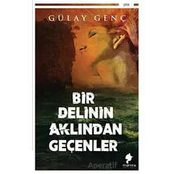 Bir Delinin Aklından Geçenler - Gülay Genç - Morena Yayınevi
