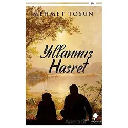 Yıllanmış Hasret - Mehmet Tosun - Morena Yayınevi