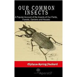 Our Common Insects - Alpheus Spring Packard - Platanus Publishing
